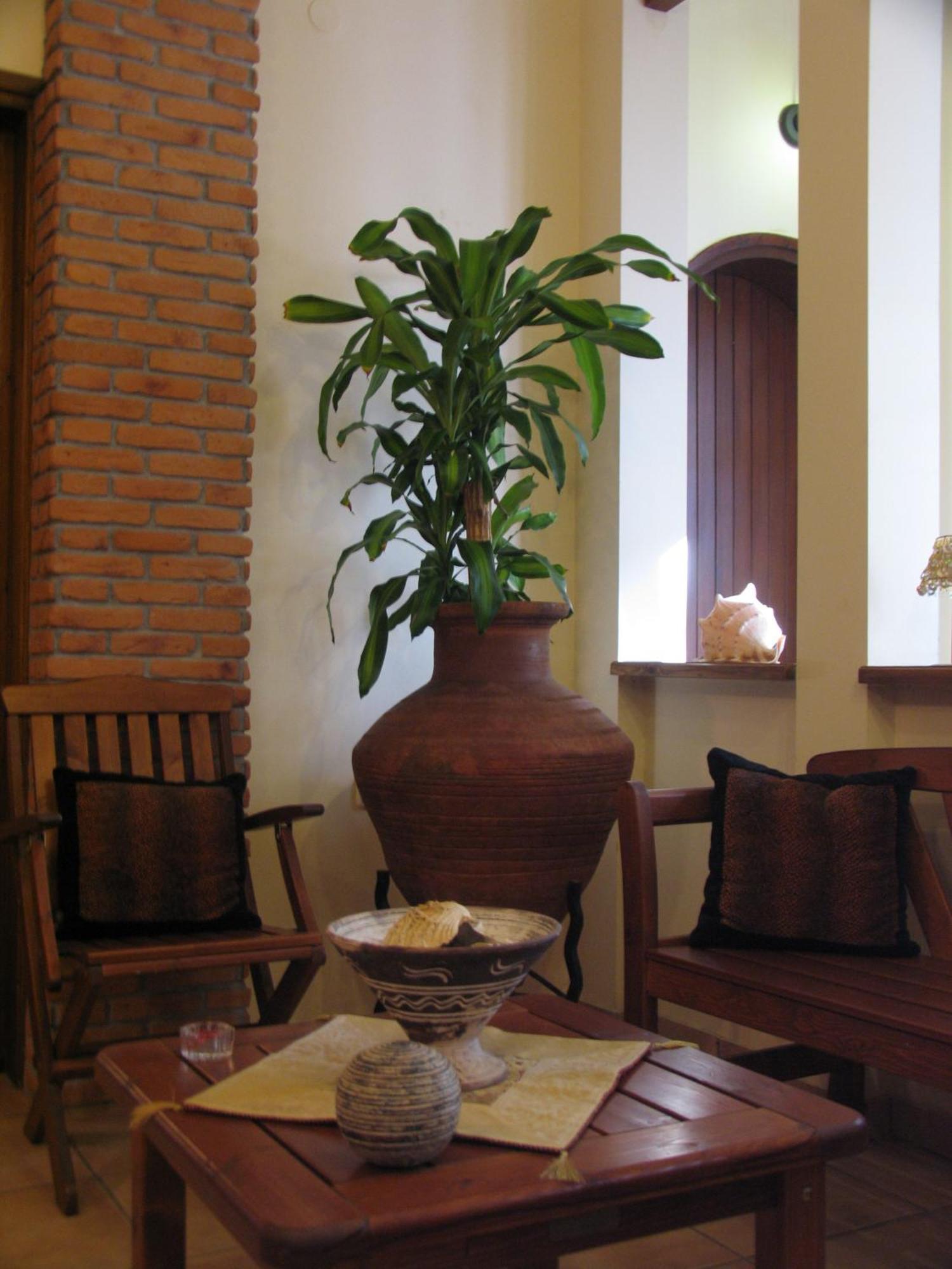 Katia Hotel อาฟิสโซส ภายนอก รูปภาพ